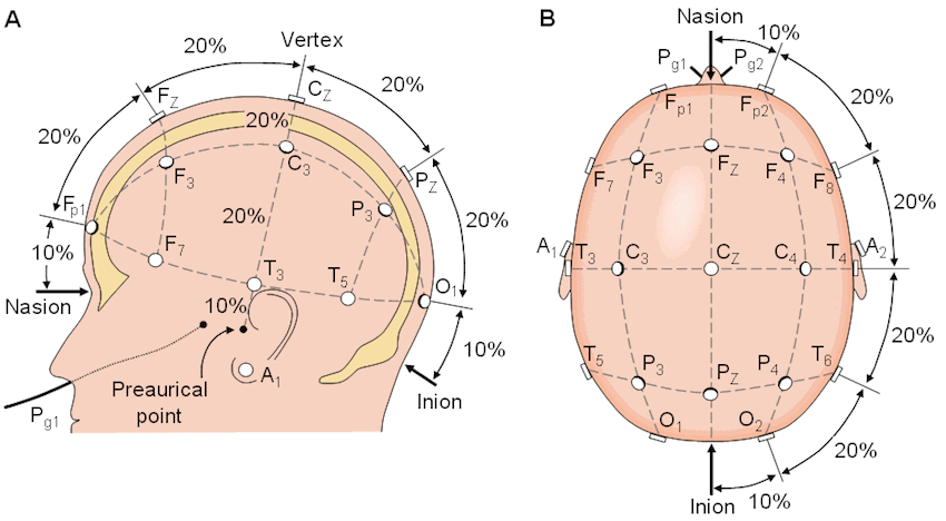 10-20 electrode system - overhead view of head showing electrode positions